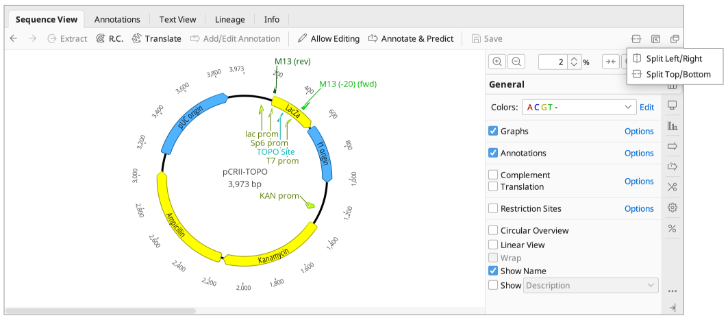 Geneious Prime_ドキュメントビューア_Sequence View