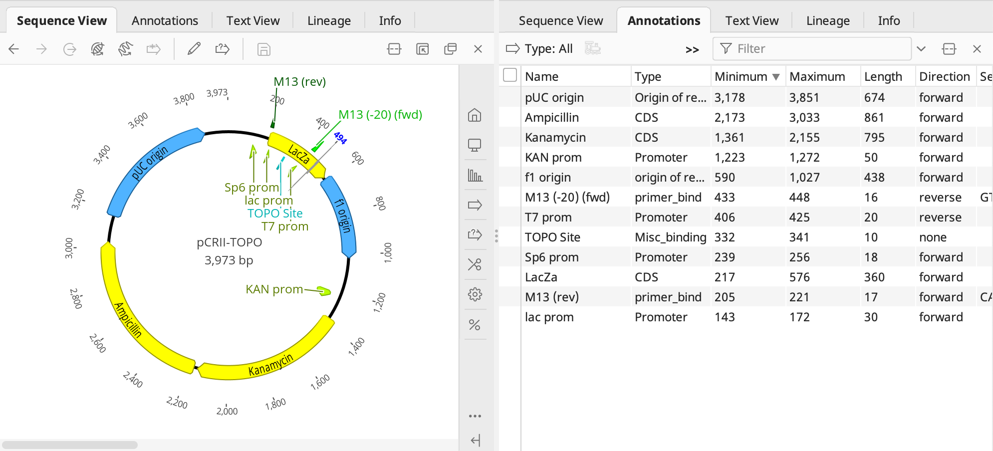 Geneious Prime_ドキュメントビューアの分割表示