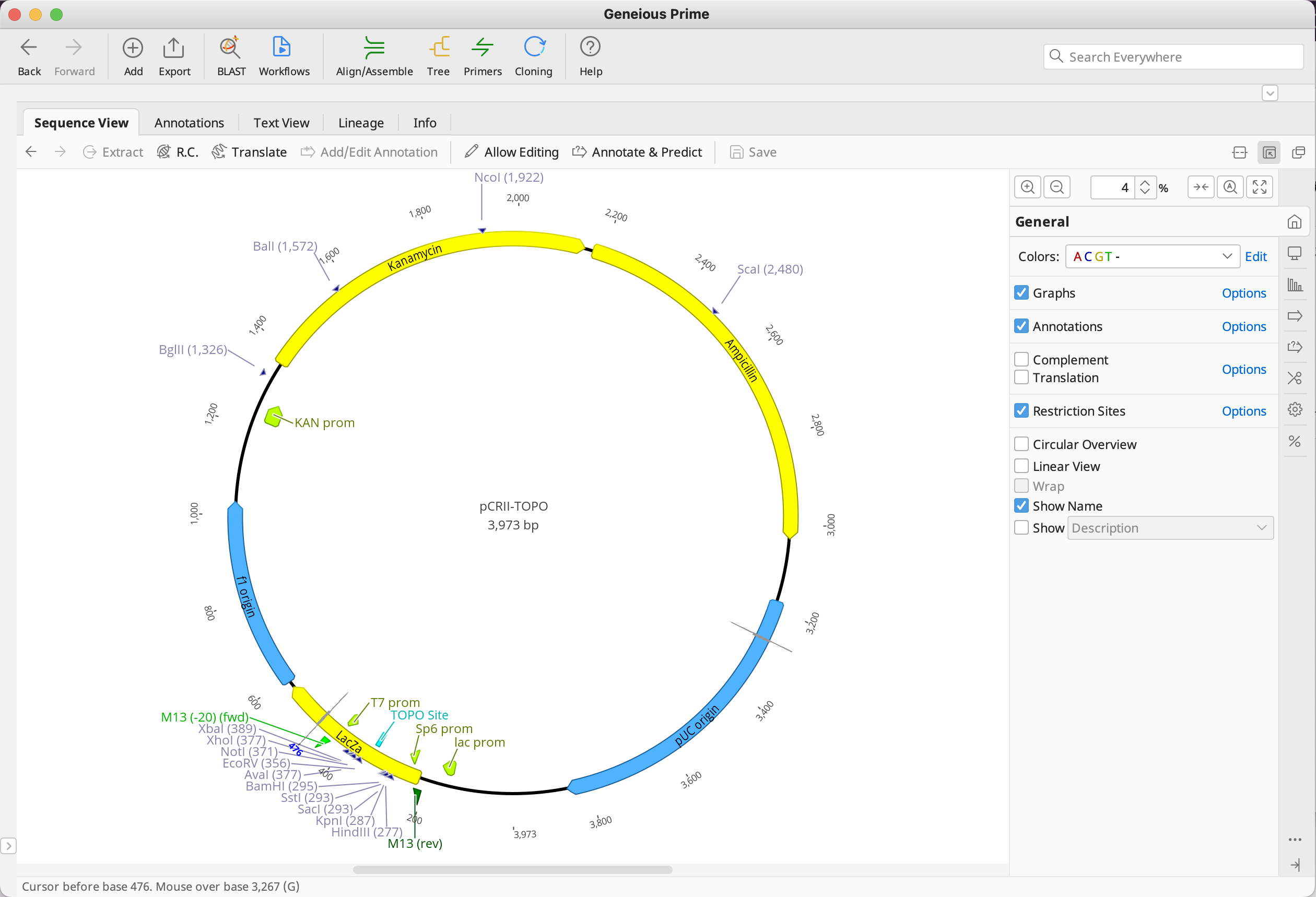 Geneious Prime_ドキュメントビューア_画面全体表示