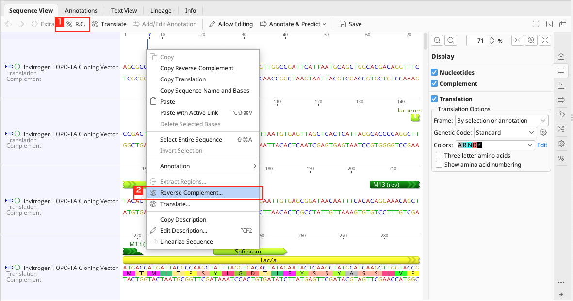 Geneious Prime_Sequence View_コントロールパネル_グラフオプション_コンティグ
