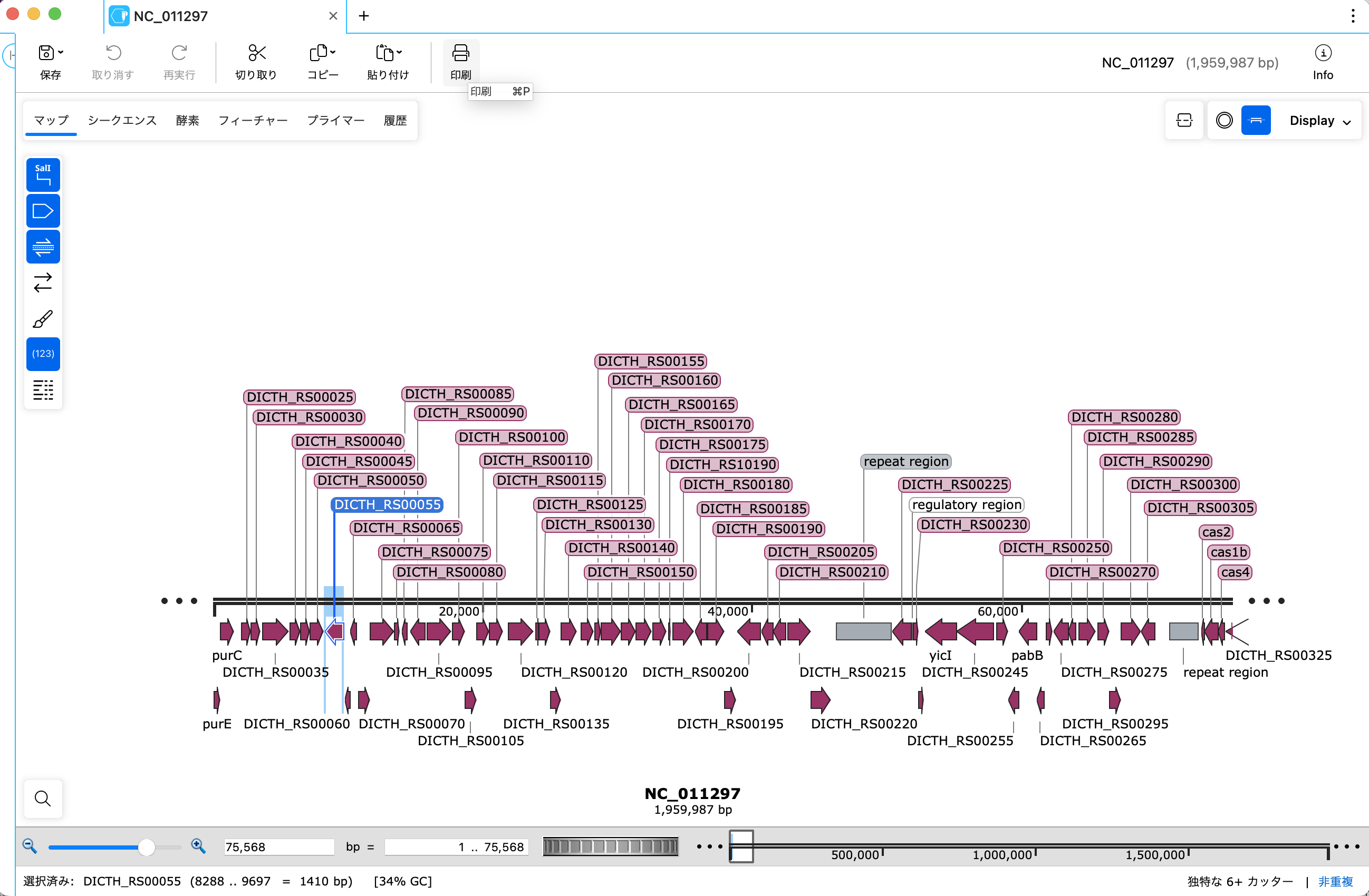 コドン頻度（Codon Frequencies)_CDSの選択_マップビュー