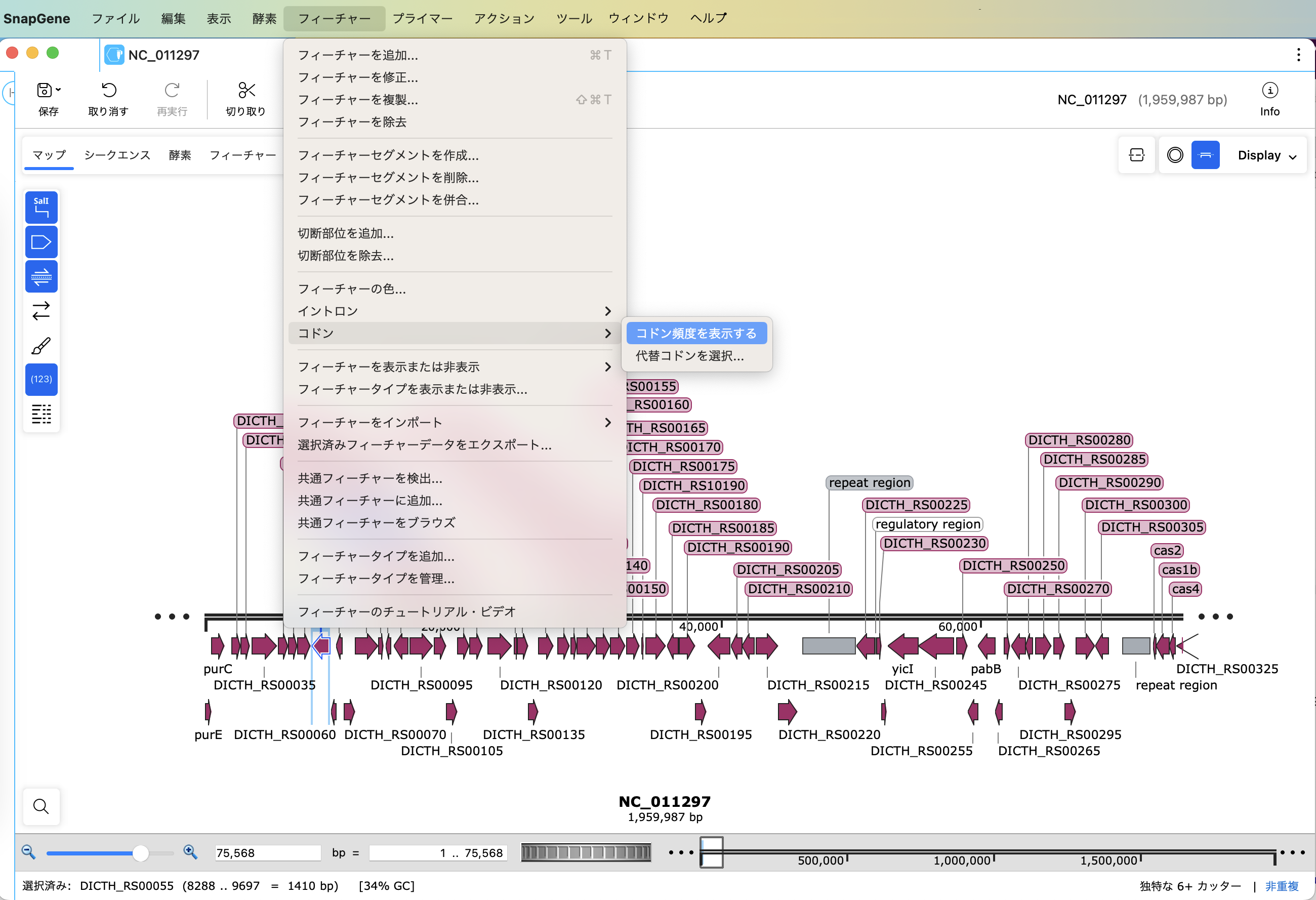 コドン頻度（Codon Frequencies)_コドン頻度を表示する