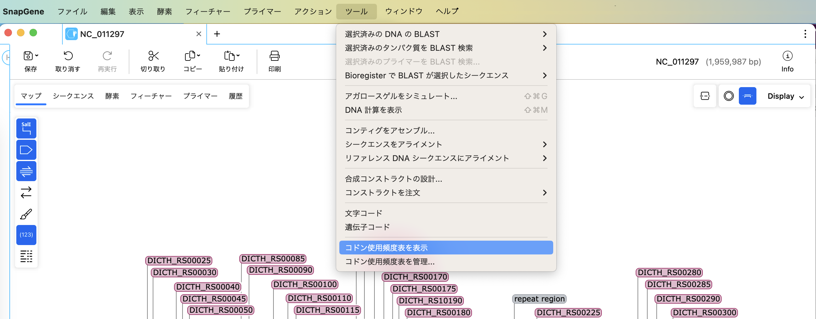 コドン頻度（Codon Frequencies)_コドン使用頻度を表示する