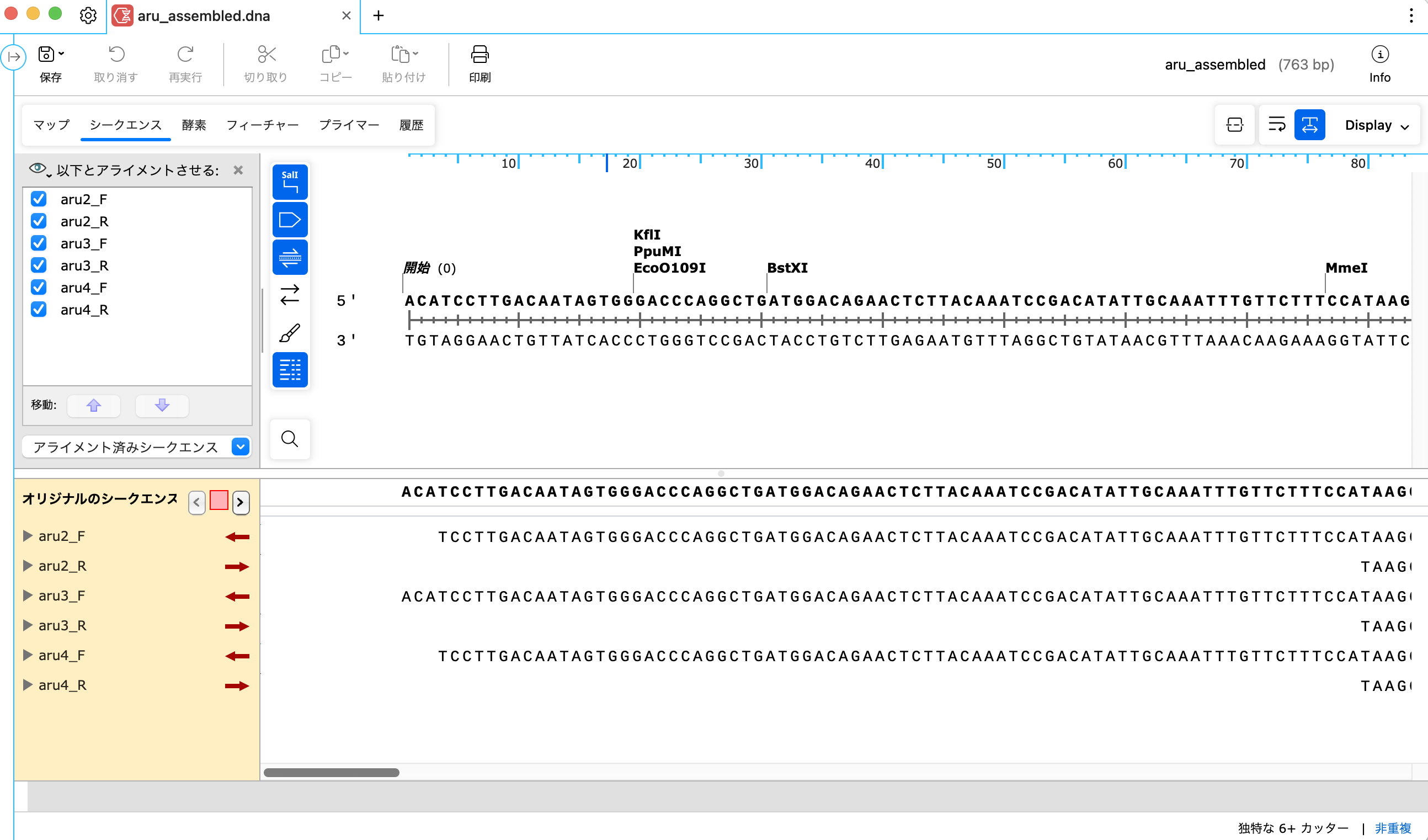 SnapGene_サンガーシークエンスデータの De Novo アセンブリ_シークエンスビュー