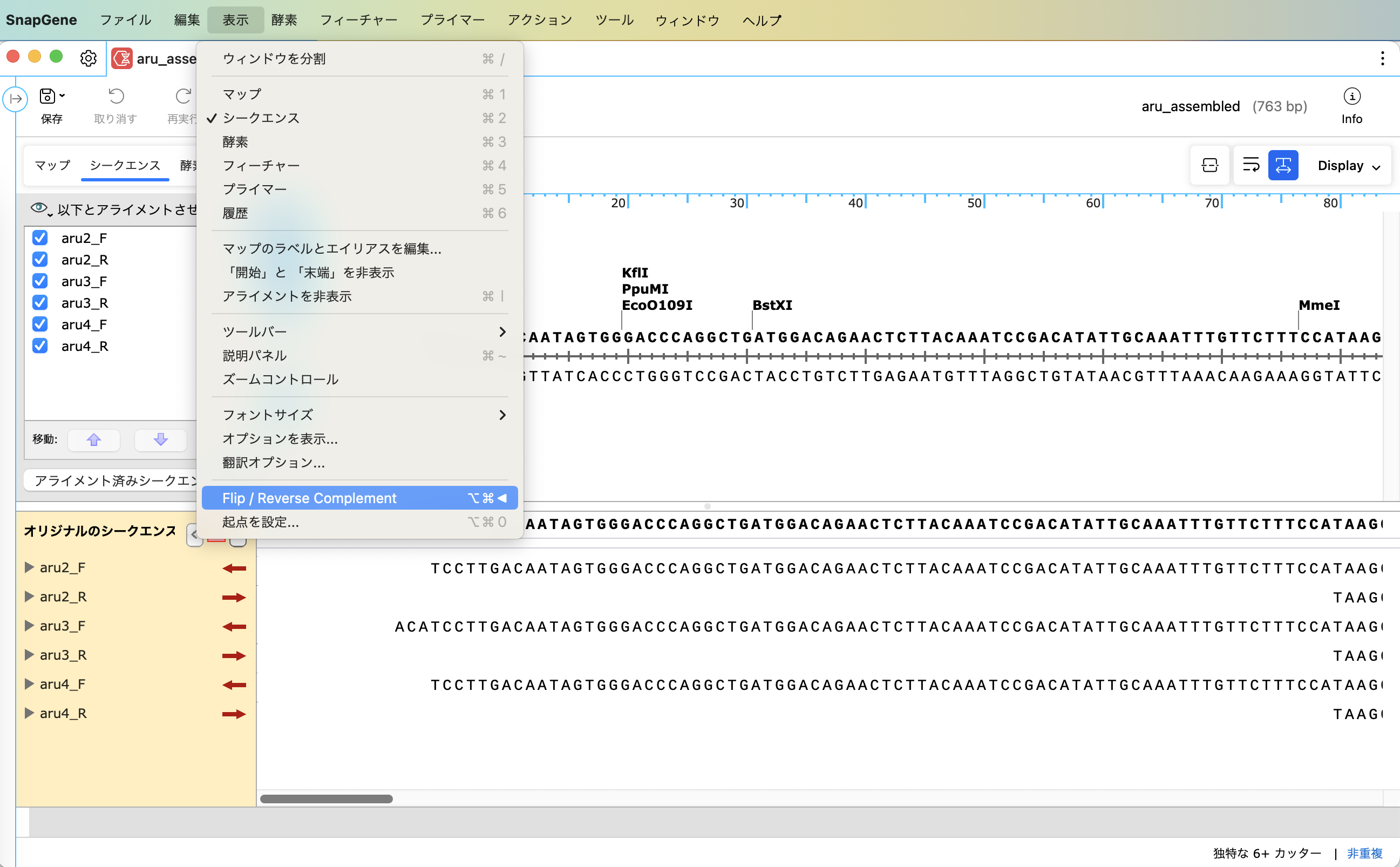 SnapGene_サンガーシークエンスデータの De Novo アセンブリ_シークエンスの向を反転