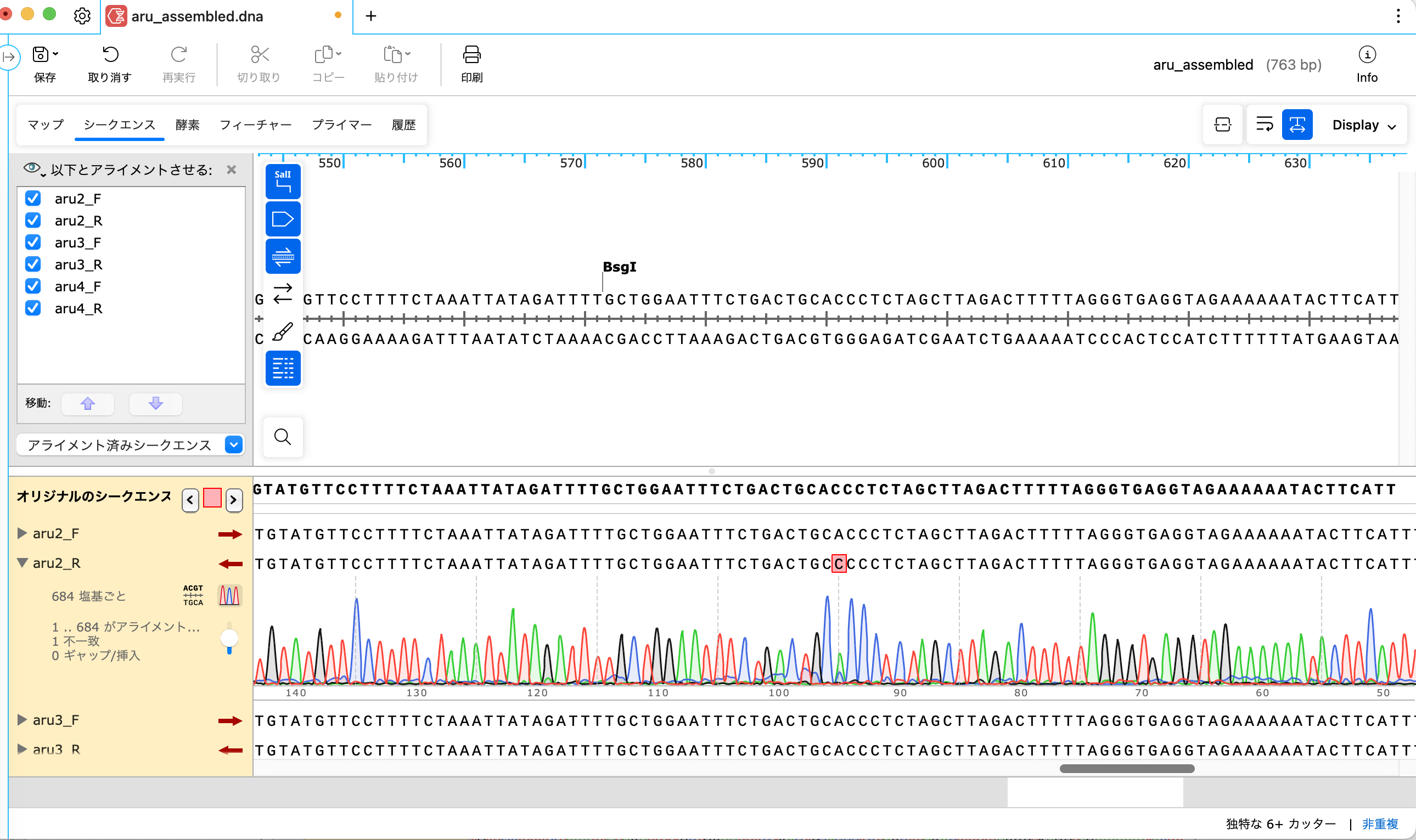 SnapGene_サンガーシークエンスデータの De Novo アセンブリ_シークエンスビュー_データ詳細の確認