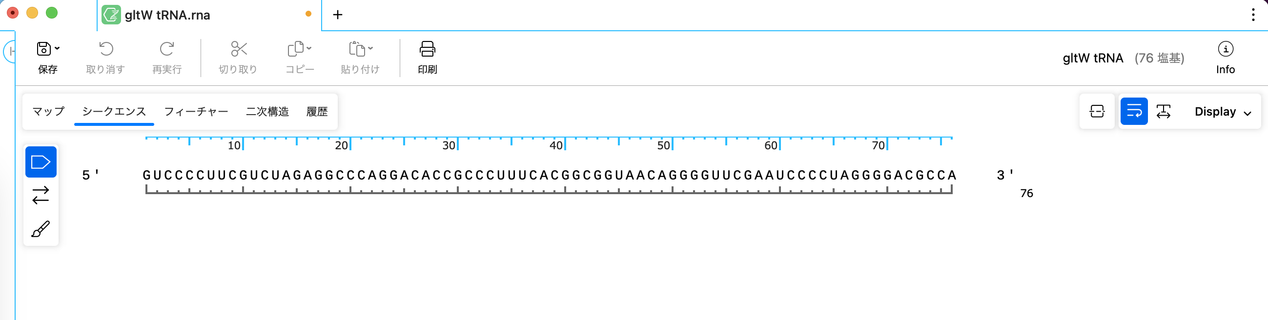 SnapGene_RNA二次構造予測図_シークエンスビュー