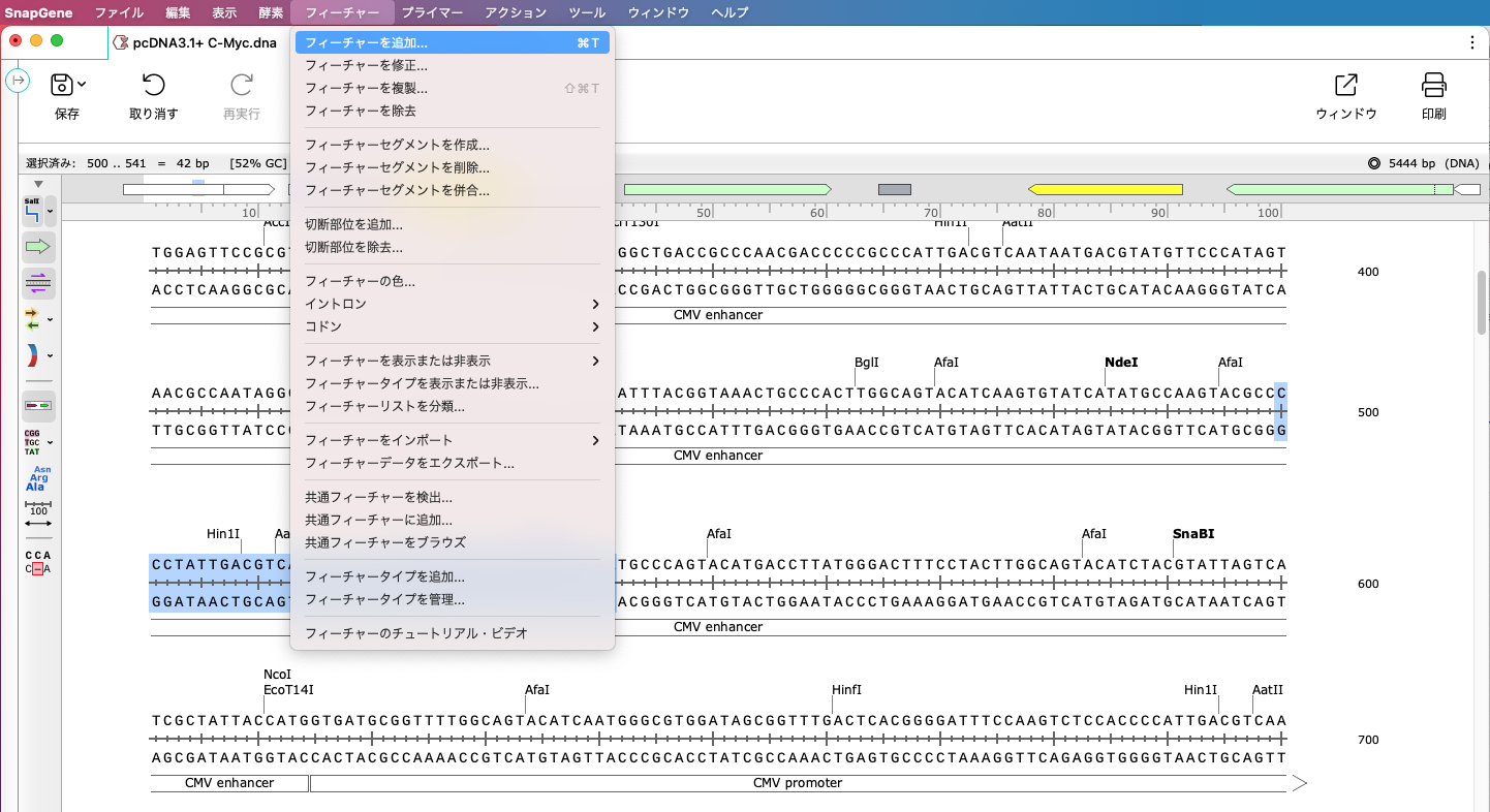 SnapGene_基本操作_フィーチャービュー_フィーチャーの追加
