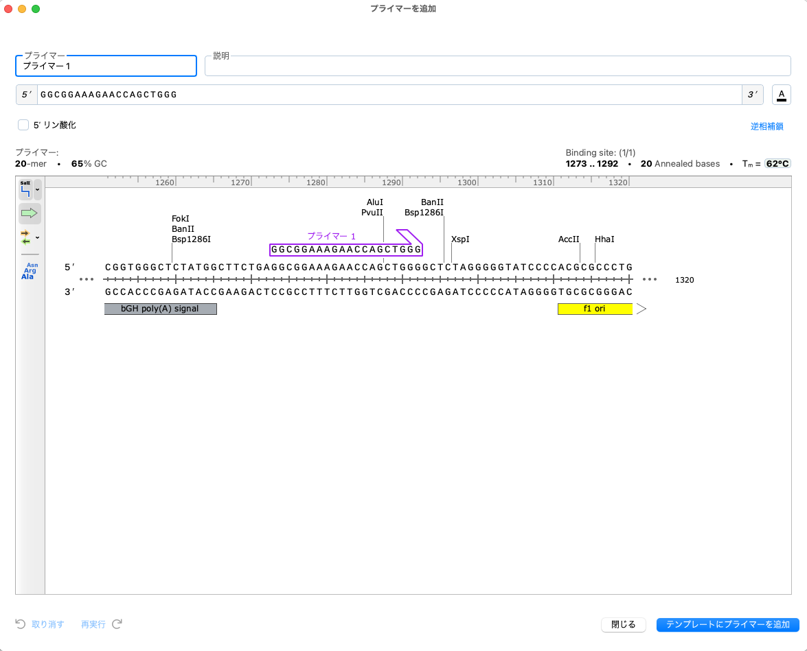 SnapGene_基本操作_プライマービュー_プライマーを追加