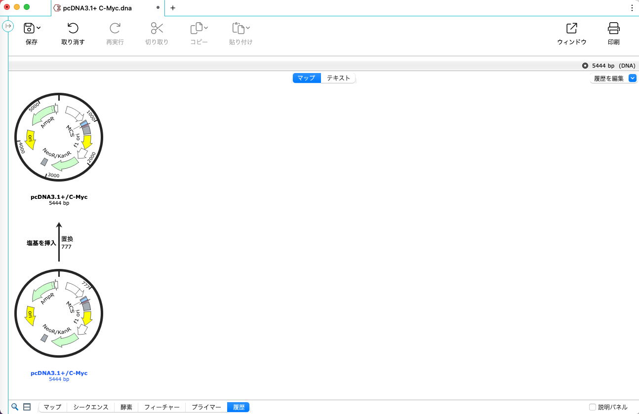 SnapGene_基本操作_履歴ビュー