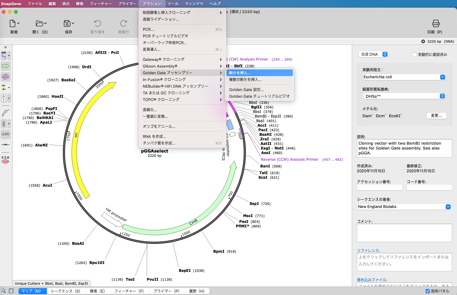 Golden Gate Assembly03
