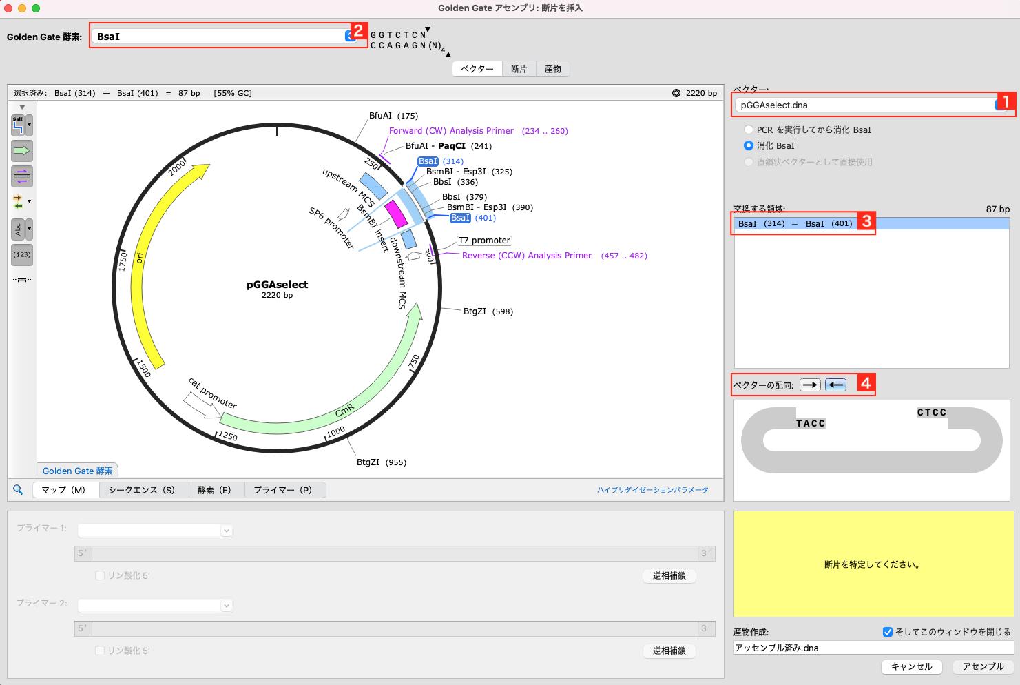 Golden Gate Assembly04