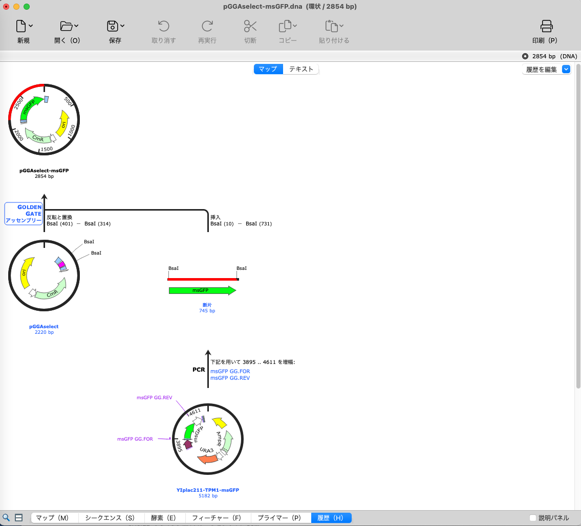 Golden Gate Assembly13