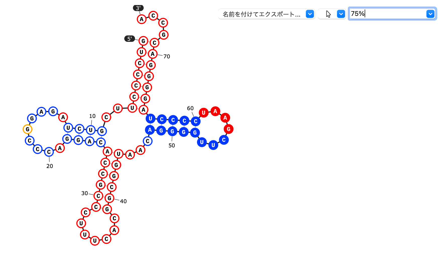 SnapGene_RNA二次構造予測図_Select