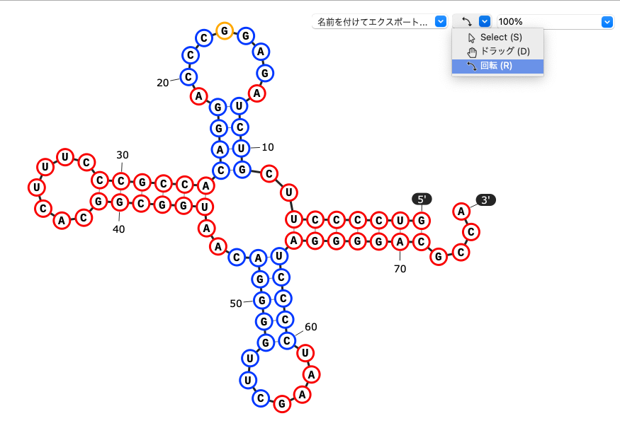 SnapGene_RNA二次構造予測図_回転モード
