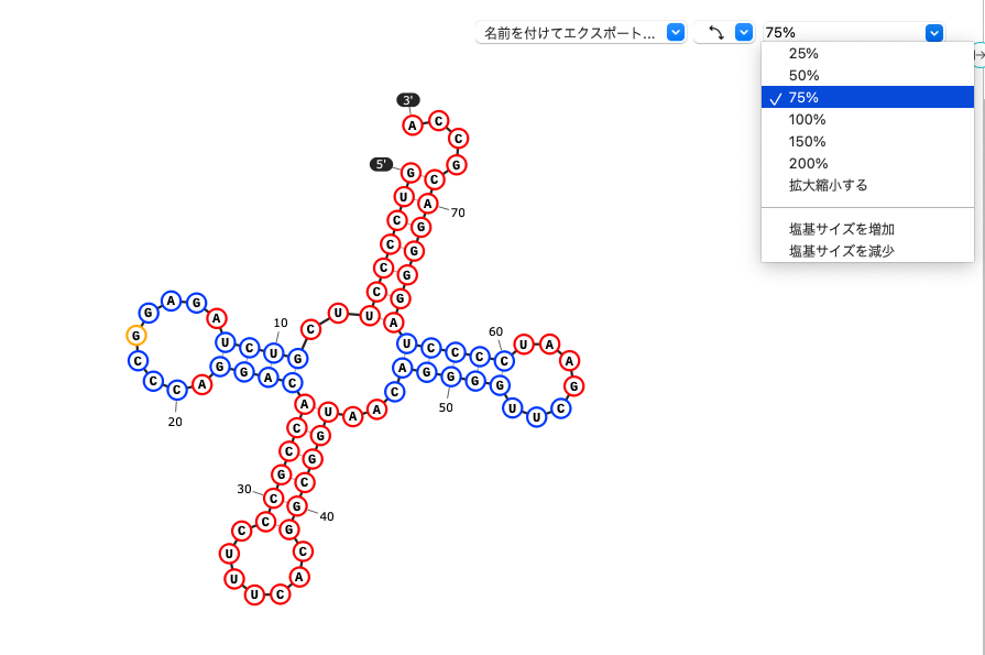 SnapGene_RNA二次構造予測図_拡大縮小