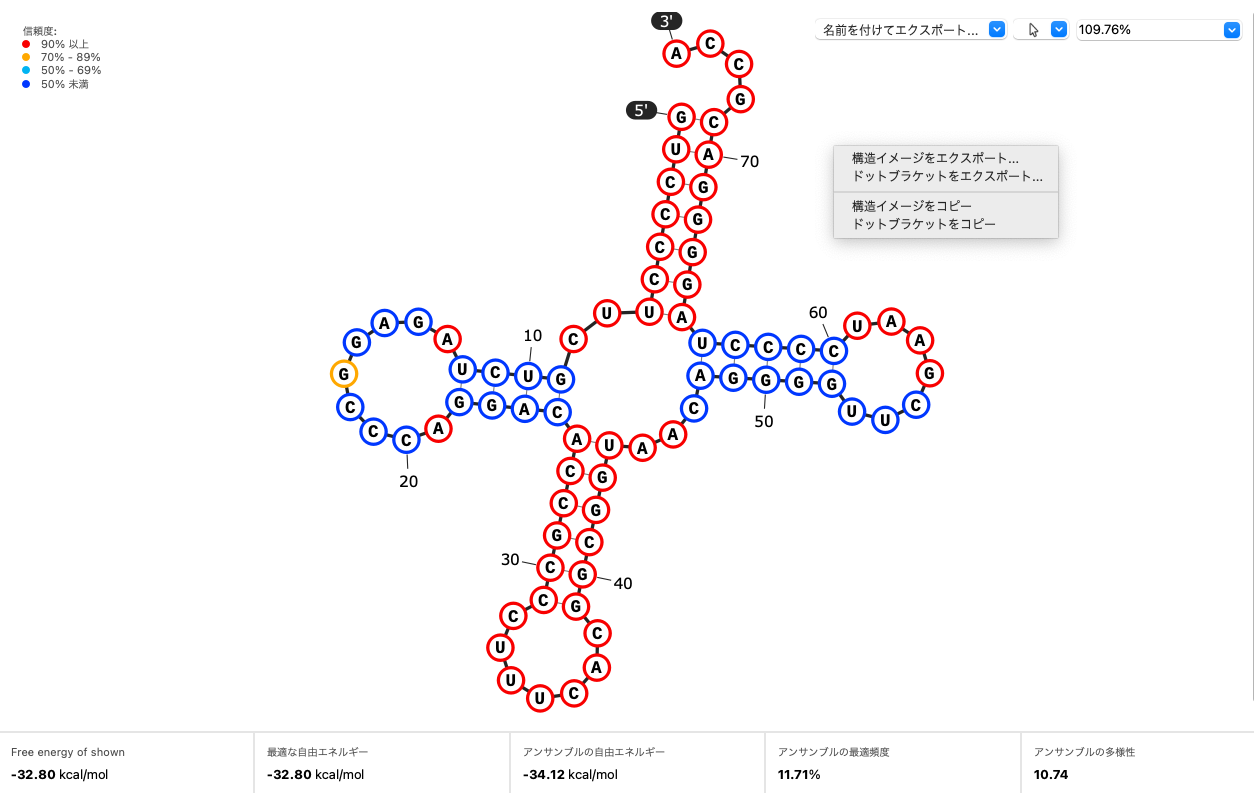 SnapGene_RNA二次構造予測図_エクスポート