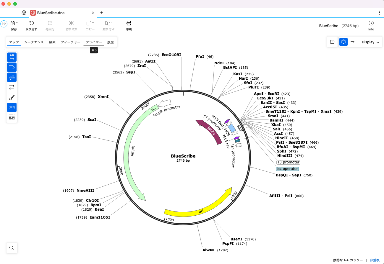 SnapGene 8.0 基本操作