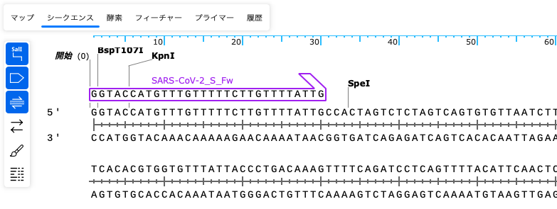 SnapGene_プライマーの表示切替_有効