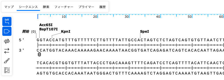 SnapGene_プライマーの表示切替_無効