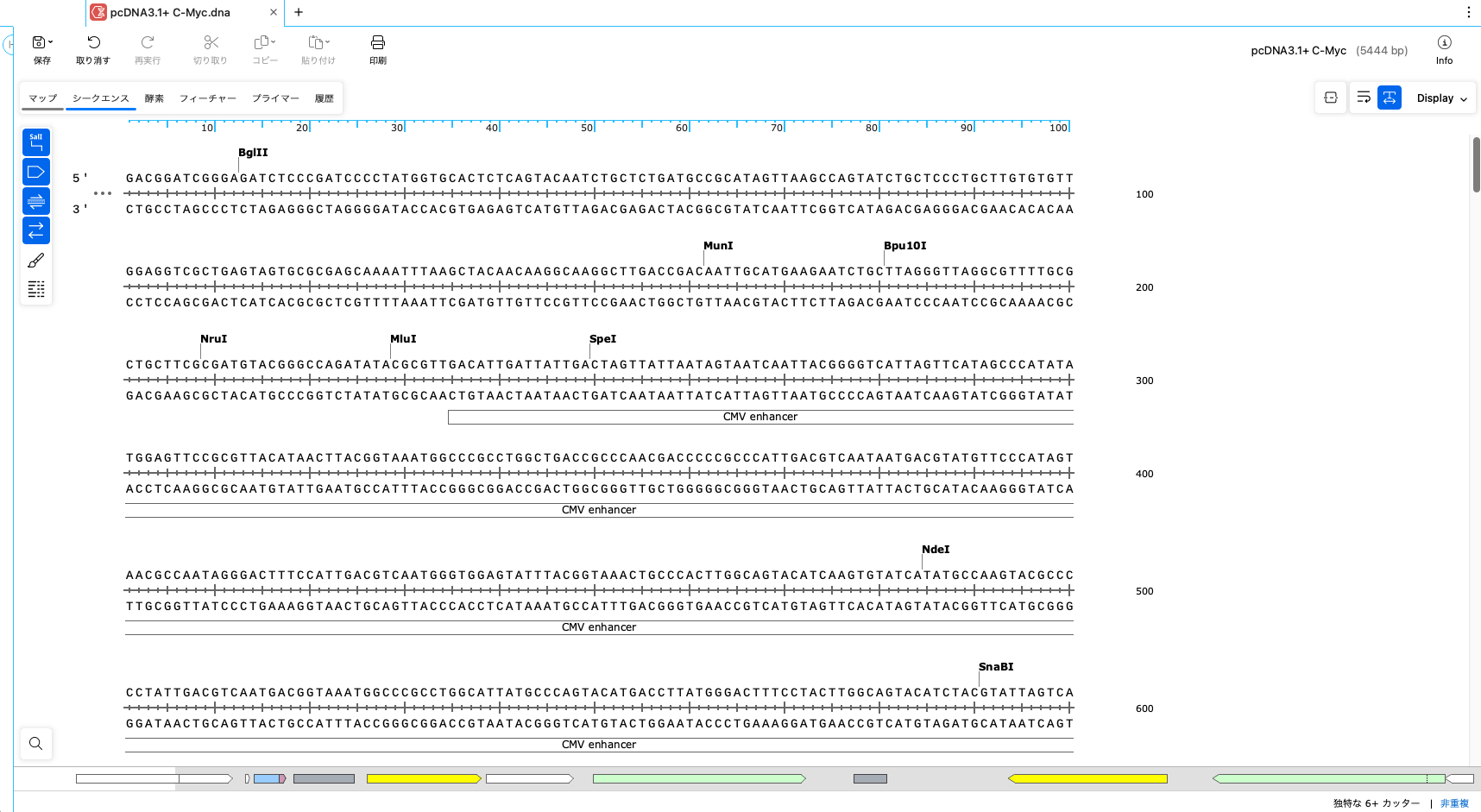 SnapGene8_基本操作_シークエンスビュー