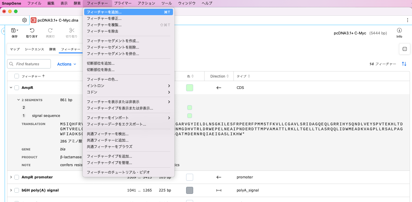 SnapGene_基本操作_フィーチャービュー_フィーチャーを追加