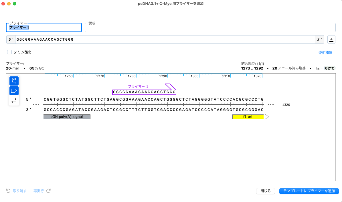 SnapGene_基本操作_プライマービュー_ダイアログ：プライマーを追加