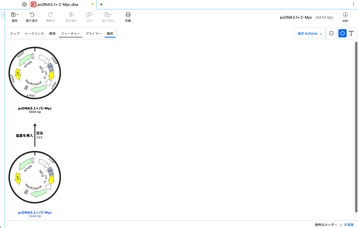SnapGene_基本操作_履歴ビュー