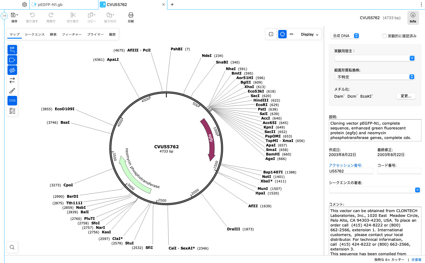 SnapGene_プラスミドマップの表示_SNBIシークエンスのインポート03
